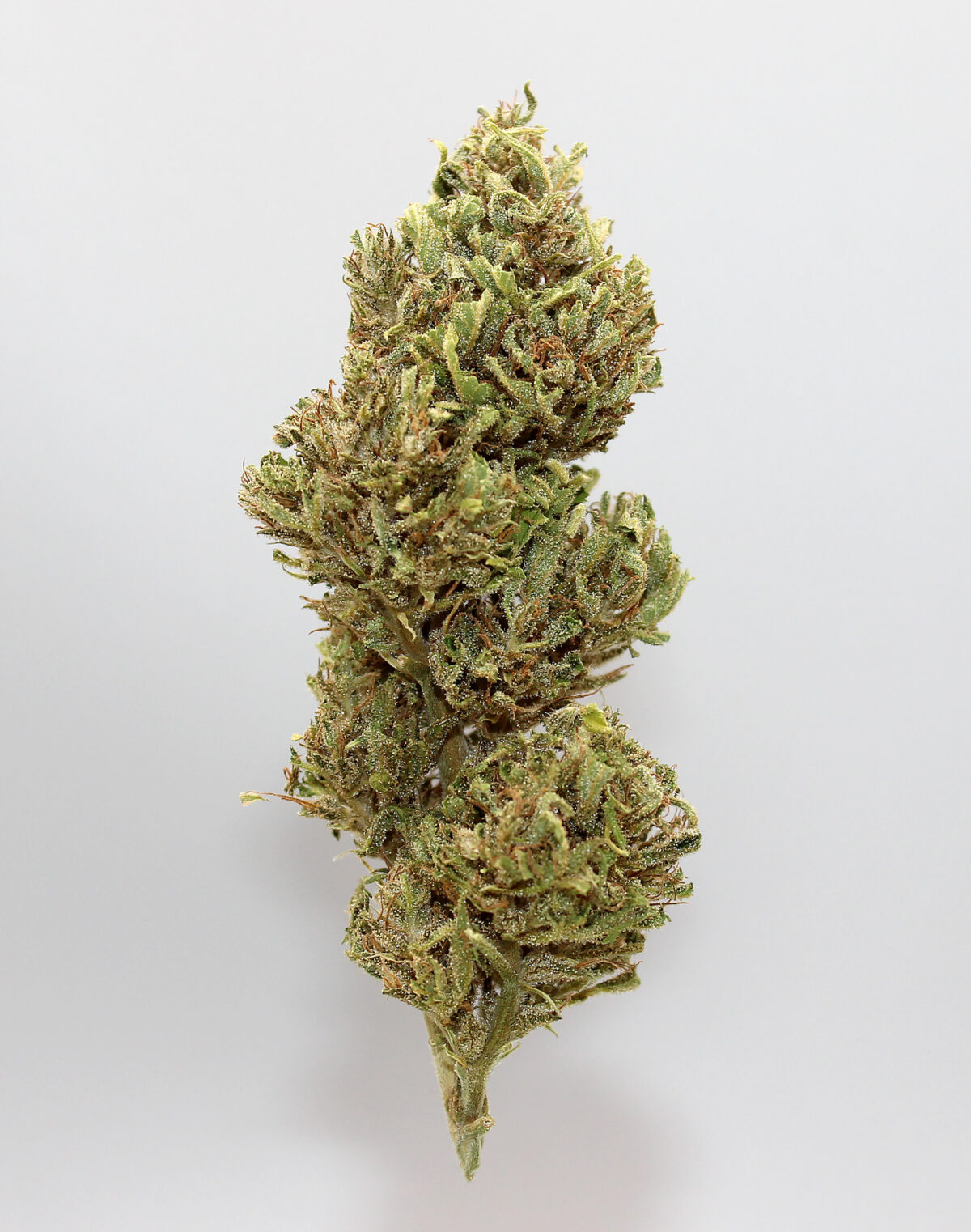 CBD Aromablüten-Canna Anna – Bild 2