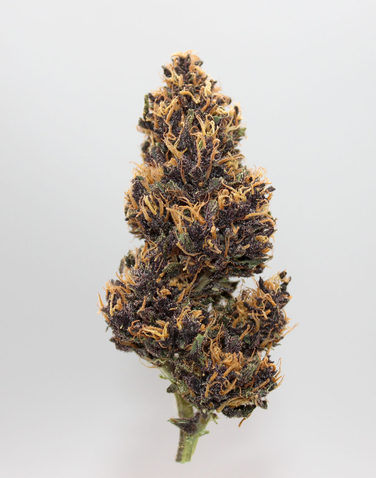 CBD Aromablüten-Don Alfonso – Bild 2