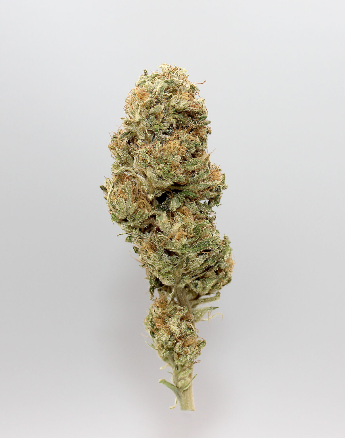 CBD Aromablüten-Alpine Buddha – Bild 2