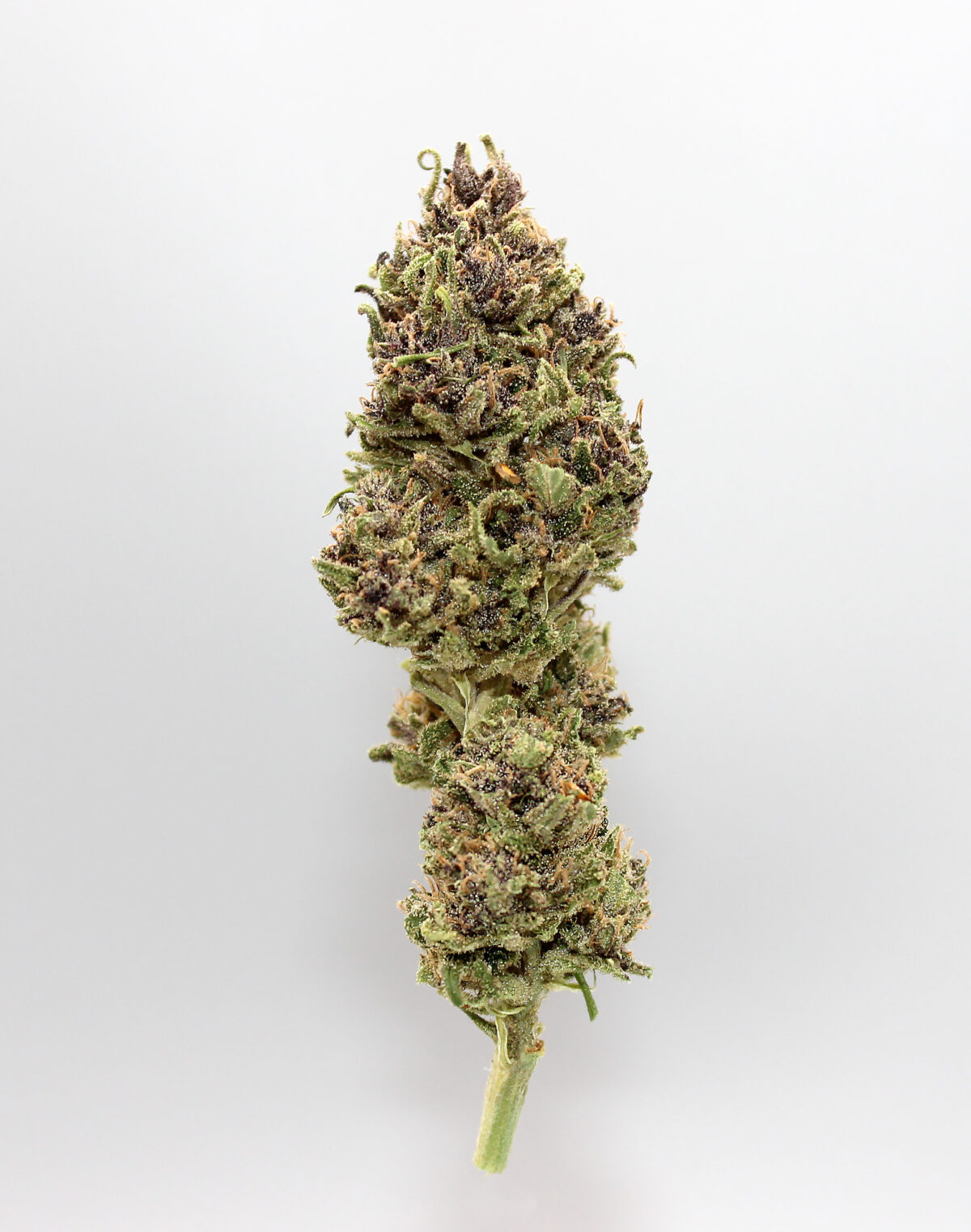 CBD Aromablüten-Berrylicious – Bild 2
